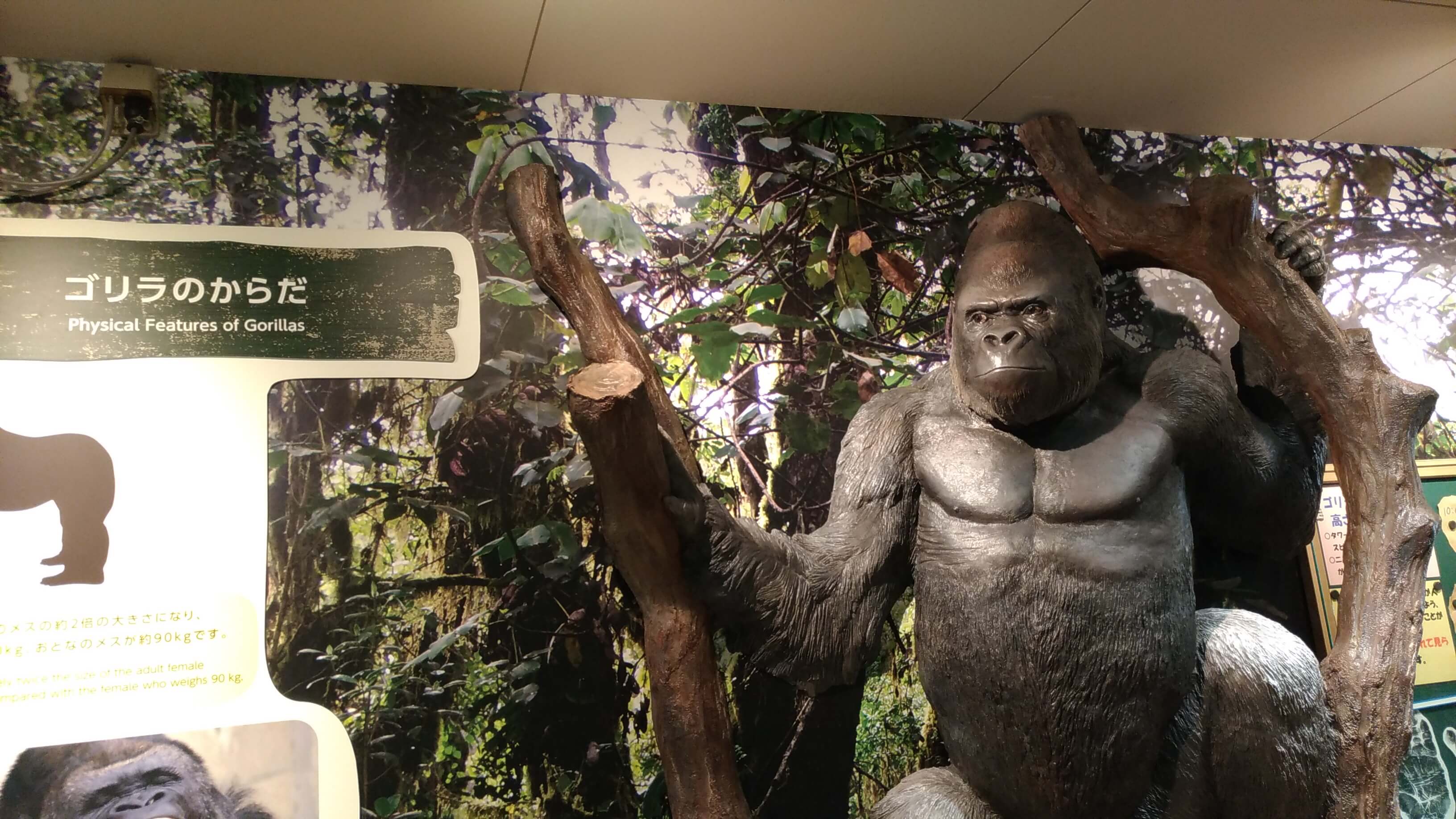 東山動植物園は路駐ok 地元しか知らない無料駐車場への行き方 なごやグッジョ部 東山動植物園は路駐ok 地元しか知らない無料駐車場への行き方 なごやグッジョ部