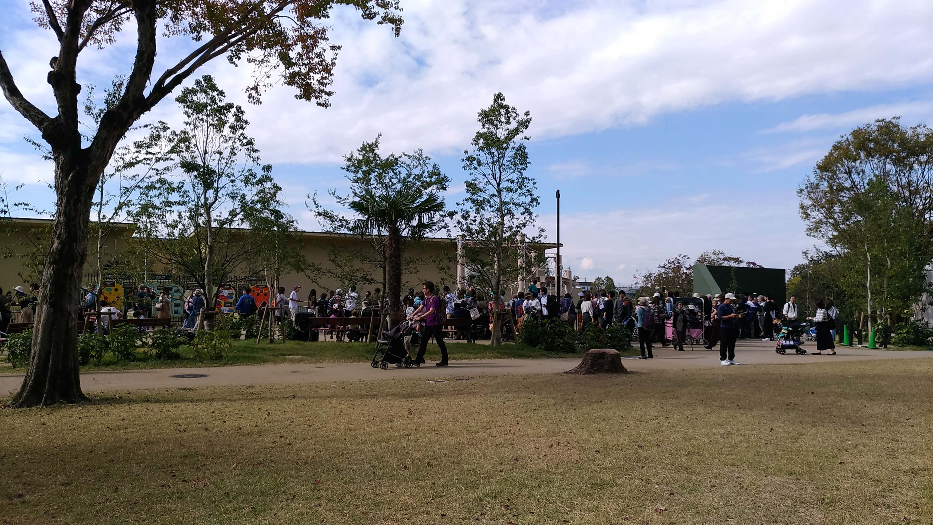 東山動植物園のシャバーニ屋外