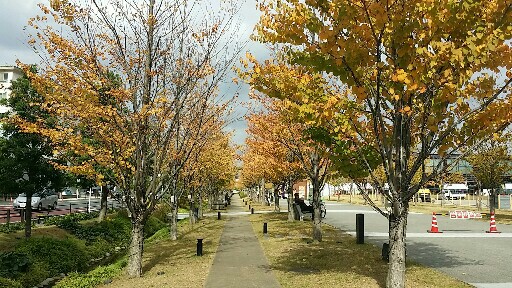 f:id:soramame35:20171121192454j:image f:id:soramame35:20171121192454j:image