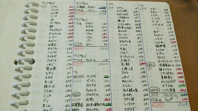 ブログ 家計 簿 家計管理・貯蓄 人気ブログランキングとブログ検索